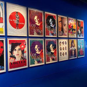 Meet your Posher, Ava